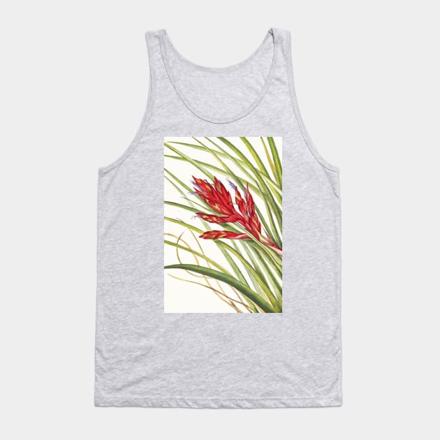 Giant airplant - Botanical Illustration Tank Top by chimakingthings